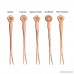 Two Pronged Appetizer Fork Aolvo Stainless Steel Creative Fruit Forks Set Small Salad Forks Mini Dessert Cake Forks Cute Cocktail Forks Decorative for Home / Party Restaurant - 5 Pcs - Rose Gold - B079RBY119